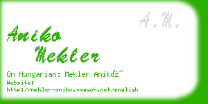 aniko mekler business card